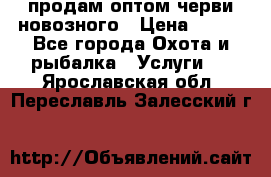 продам оптом черви новозного › Цена ­ 600 - Все города Охота и рыбалка » Услуги   . Ярославская обл.,Переславль-Залесский г.